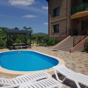 Guest House Shervud